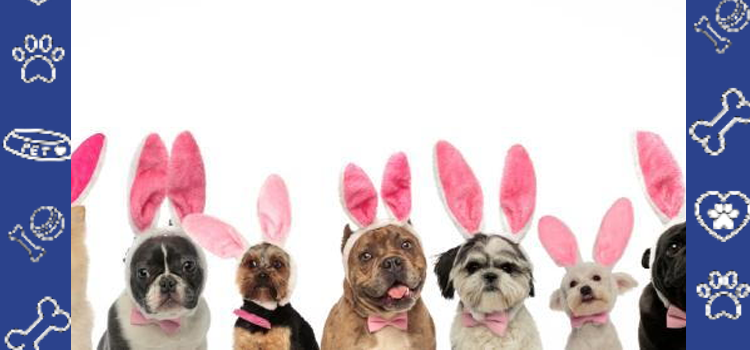 If Pets Could Talk: What Your ESA Would Say About Your Mental Health (2026)