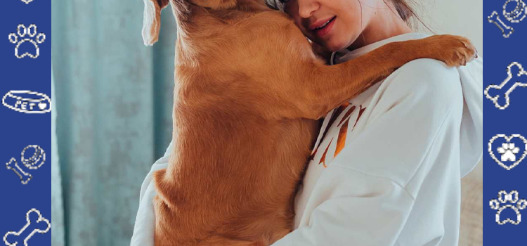 Cheap ESA Letter Online: Can Emotional Support Animals Help With Remote Work Burnout?