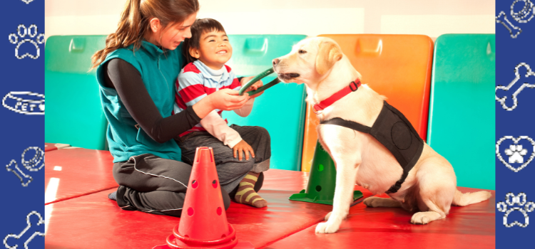 Meet the Therapy Dogs Bringing Comfort to Those in Need