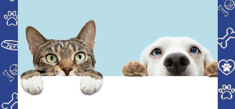 How Emotional Support Animals Improve Mental Health + Cheap ESA Letter Guide