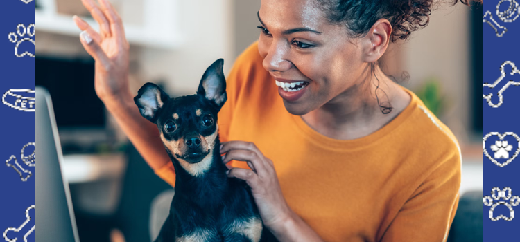 Flying With a Psychiatric Service Dog in 2026: Current DOT Rules Explained