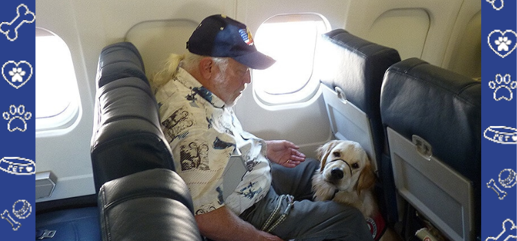 I Have a Mental Health Disability, and These 12 Items Are Essential for Flying With a Service Dog