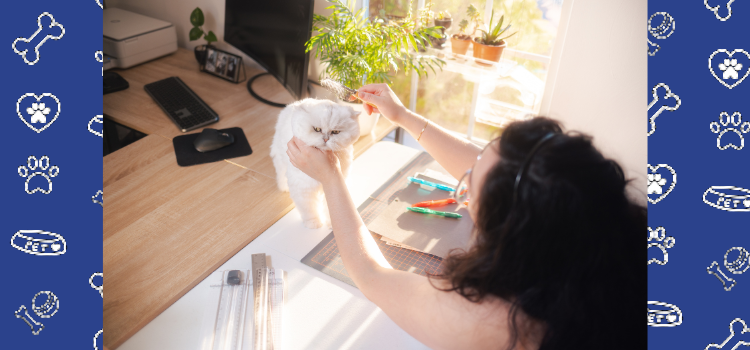 The Purrfect Companions: How Cats Excel as Emotional Support Animals