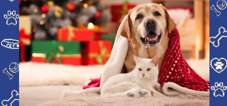 How to Prepare for the Holidays With Your Emotional Support Animal: Stress-Free Tips for Pet Owners
