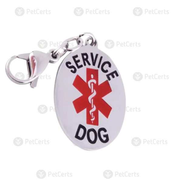 Stainless Steel Service Dog Collar Key Chain