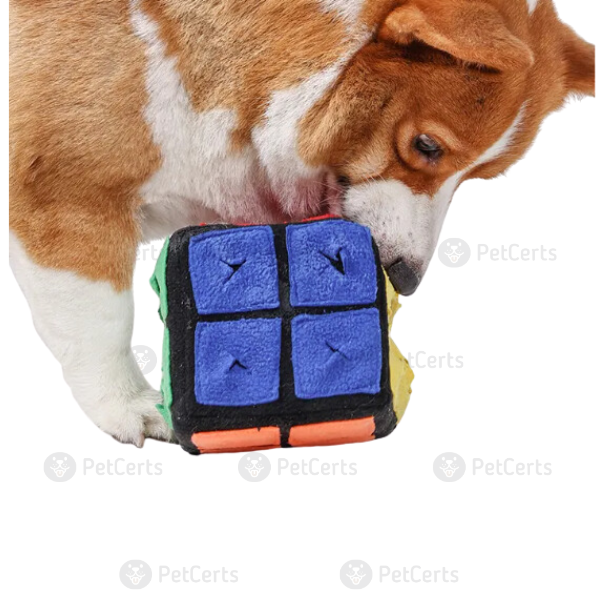 Hidden Treat Dog Training Toy