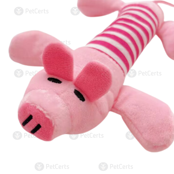 Push Pig Chew Toy